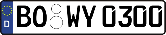 BO-WY0300