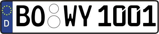 BO-WY1001