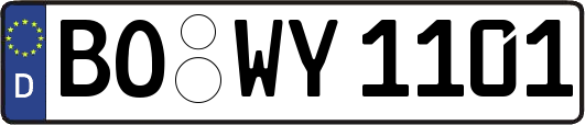 BO-WY1101