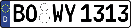 BO-WY1313