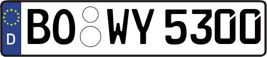 BO-WY5300
