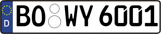 BO-WY6001