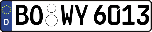 BO-WY6013