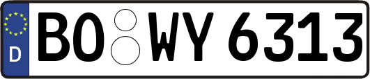 BO-WY6313