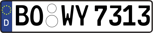BO-WY7313