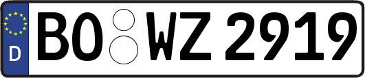 BO-WZ2919