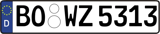 BO-WZ5313