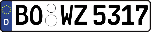 BO-WZ5317
