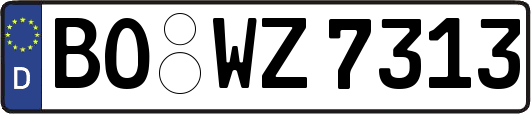 BO-WZ7313
