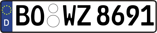 BO-WZ8691