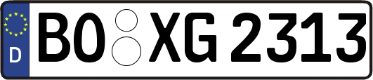 BO-XG2313