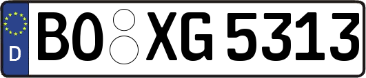 BO-XG5313