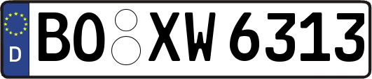 BO-XW6313