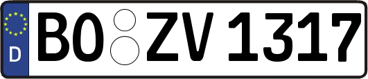 BO-ZV1317