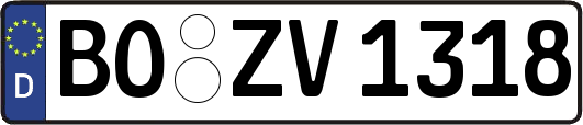 BO-ZV1318