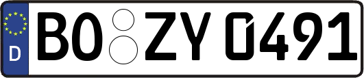 BO-ZY0491