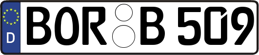 BOR-B509