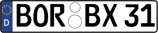 BOR-BX31