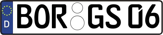 BOR-GS06