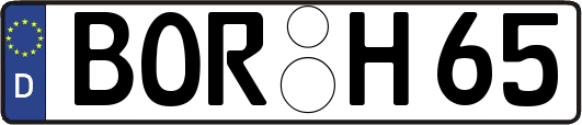 BOR-H65