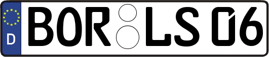 BOR-LS06