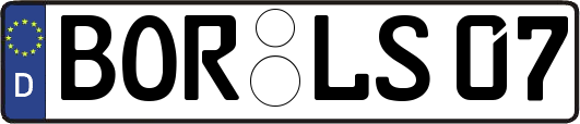 BOR-LS07