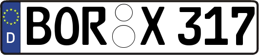 BOR-X317