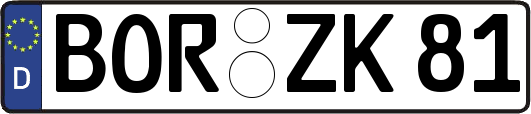 BOR-ZK81