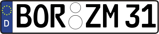 BOR-ZM31