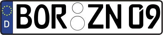 BOR-ZN09