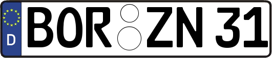 BOR-ZN31