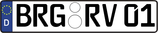 BRG-RV01