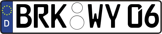 BRK-WY06