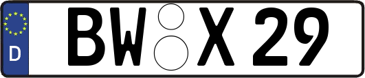 BW-X29