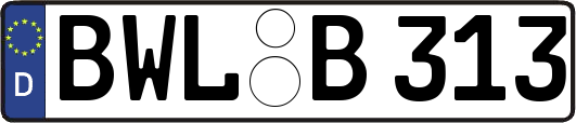 BWL-B313