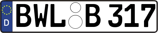 BWL-B317