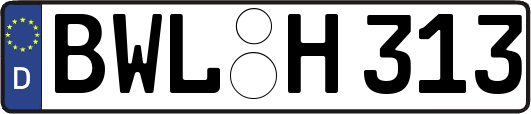 BWL-H313