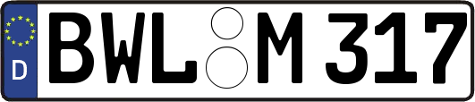 BWL-M317