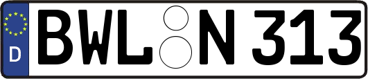 BWL-N313