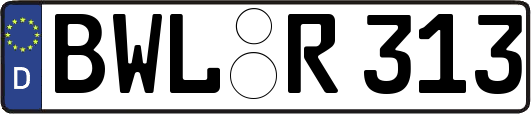 BWL-R313