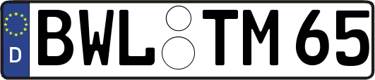 BWL-TM65