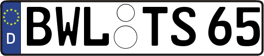 BWL-TS65