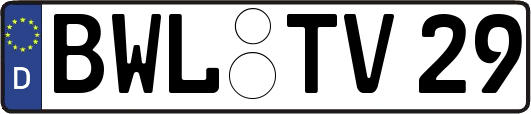 BWL-TV29