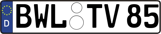 BWL-TV85
