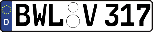 BWL-V317