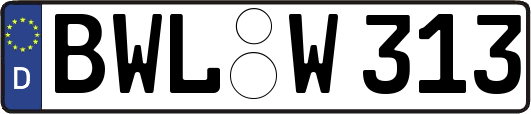 BWL-W313