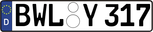 BWL-Y317