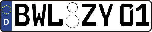 BWL-ZY01