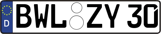BWL-ZY30