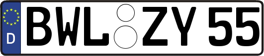 BWL-ZY55
